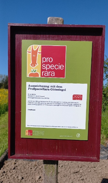 20250429 102511 20250429 102511