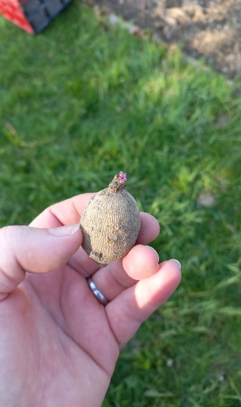 20250428 085909 20250428 085909