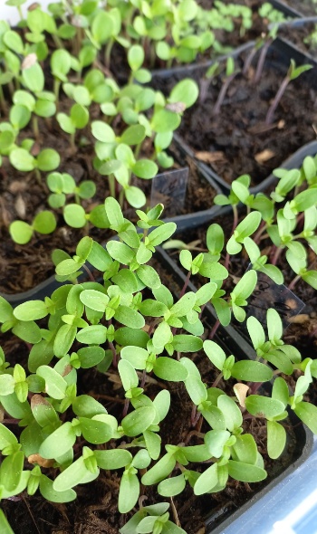 20250427 121139 20250427 121139