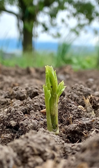 20250506 0907280 20250506 0907280