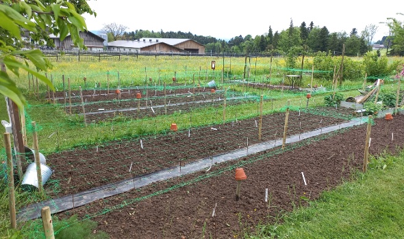 20250506 114915 20250506 114915