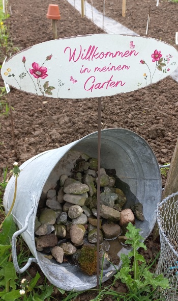 20250506 115104 20250506 115104