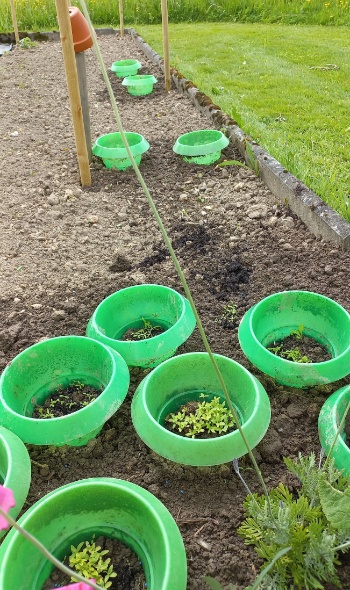 20250512 115516 20250512 115516