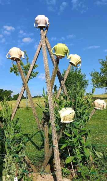 20250519 092213 20250519 092213