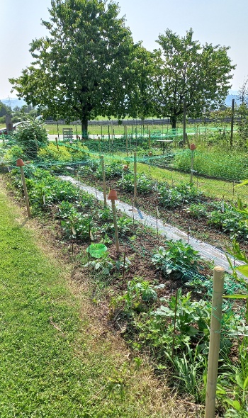 20250609 102505 20250609 102505