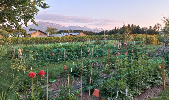 20250711 205635 20250711 205635