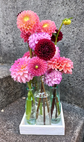 20250712 070429 20250712 070429