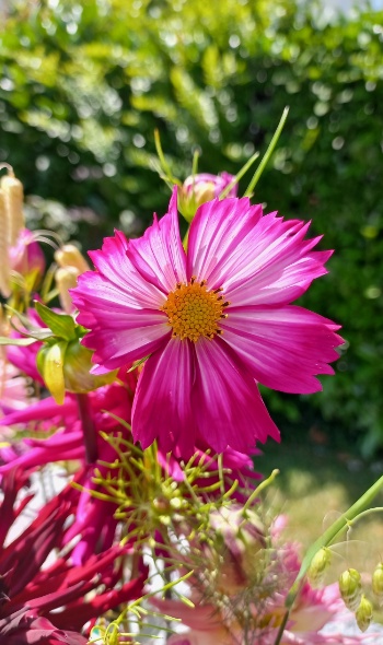 20250713 125529 20250713 125529