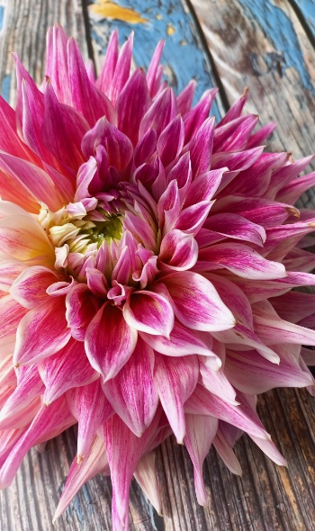 20250721 171042 20250721 171042