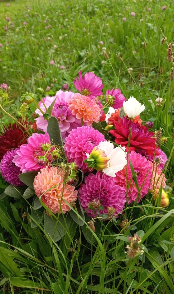 20250722 083319 20250722 083319