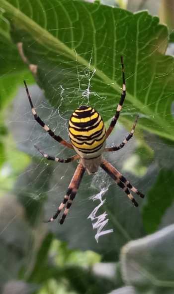 20250725 203154 20250725 203154