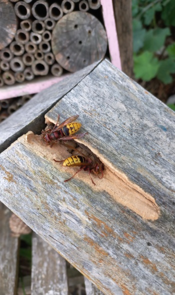 20250730 200139 20250730 200139