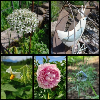 502564475 1213559900567545 1959952629146601092 n