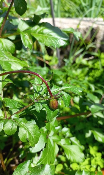 503364915 1213559643900904 7123169324730148852 n