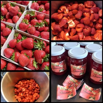 504911981 1218653196724882 2769654366533893188 n 504911981 1218653196724882 2769654366533893188 n