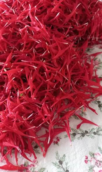 524757816 1257572099499658 1836487926596881796 n