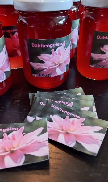 524913883 1257571652833036 6929166715216243905 n 524913883 1257571652833036 6929166715216243905 n