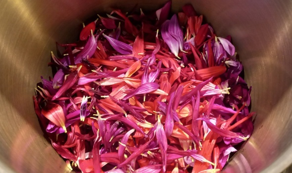 524928088 1257571962833005 7549244768647593255 n