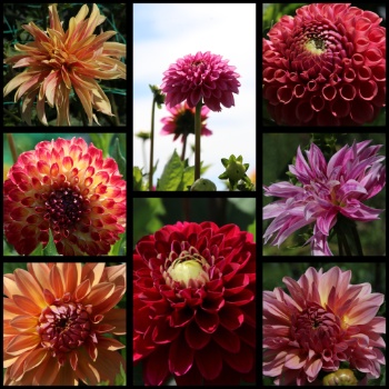 527085329 1263243532265848 7179995670948286547 n 527085329 1263243532265848 7179995670948286547 n