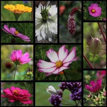 527795527 1263243382265863 5442169131019277528 n