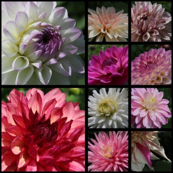 528037724 1263243142265887 7289258890783292274 n