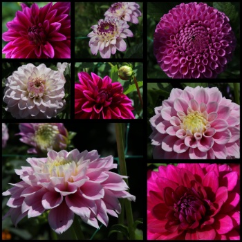 528081184 1263243355599199 5256811488941782425 n