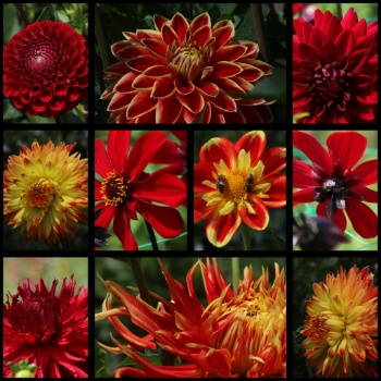 528296112 1263243458932522 1681951730640675714 n