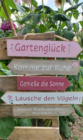 532315676 1272433608013507 992645969218956275 n 532315676 1272433608013507 992645969218956275 n