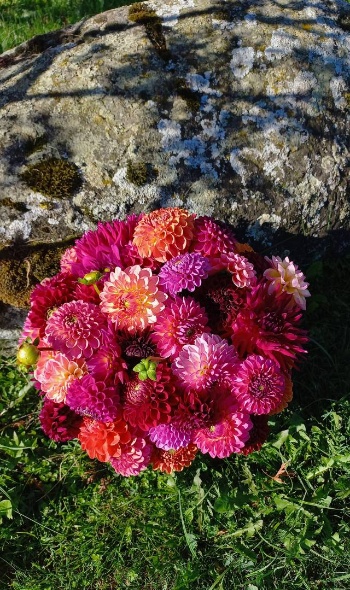 539262046 1280901820500019 5727585245575355159 n