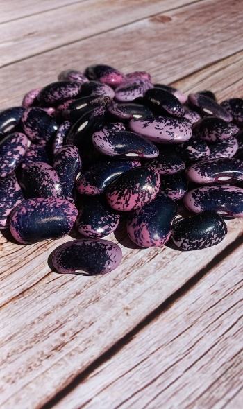 540682700 1284797796777088 749591537901484121 n