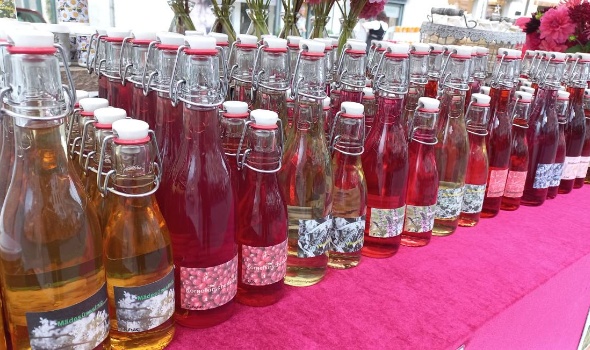 540963913 1283788706877997 4920678010830683700 n