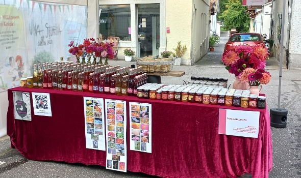 541763860 1283788990211302 6690149405144558315 n 541763860 1283788990211302 6690149405144558315 n