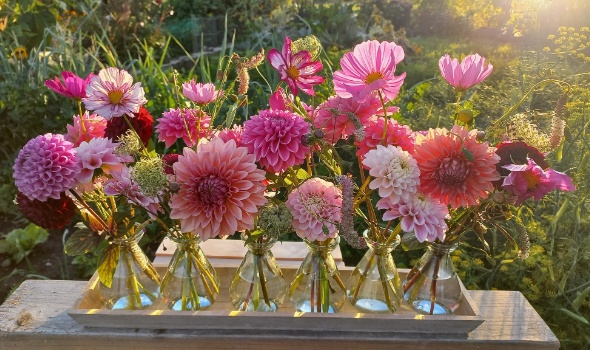 545442822 1289934996263368 1600007997433221256 n