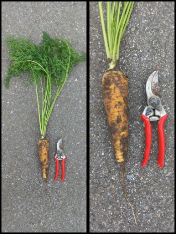 547437960 1304867128103488 2656824253149654150 n 547437960 1304867128103488 2656824253149654150 n