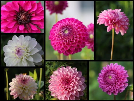 556391511 1308734927716708 5439741850396113569 n 556391511 1308734927716708 5439741850396113569 n