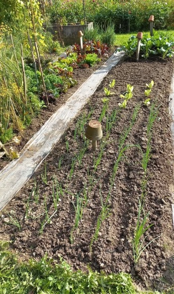 556411669 1308326651090869 6199353199352774560 n 556411669 1308326651090869 6199353199352774560 n