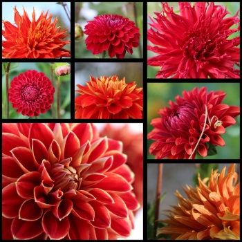 557609842 1308735044383363 547253024731910668 n