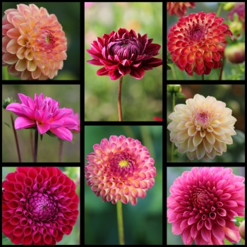 558500015 1308735001050034 3750199698302567382 n