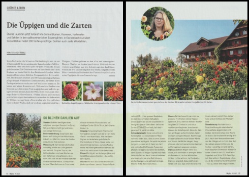 PhotoCollage 1759814757708